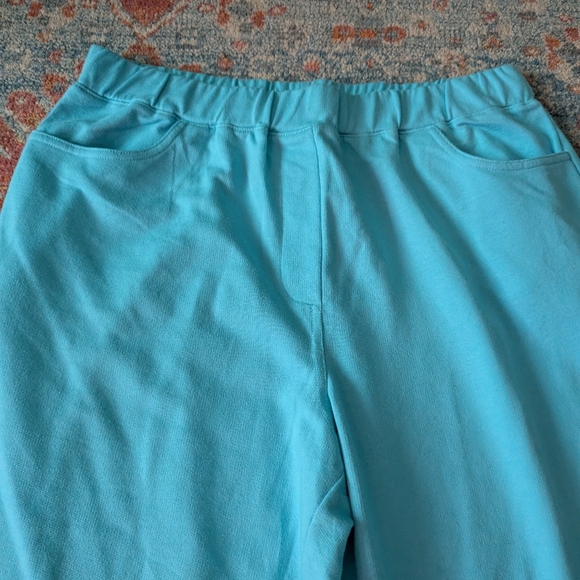 Quacker Factory Women's Medium Capri Turquoise Blue Soft Knit Pull On Shorts - Picture 2 of 10